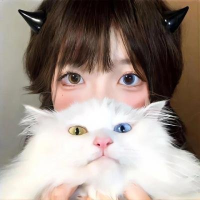 波士顿勒杀狂