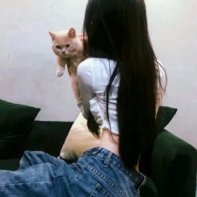 法网追凶